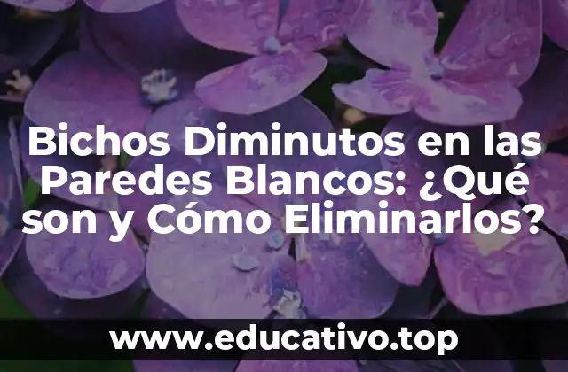 Bichos Diminutos en las Paredes Blancos: ¿Qué son y Cómo Eliminarlos?