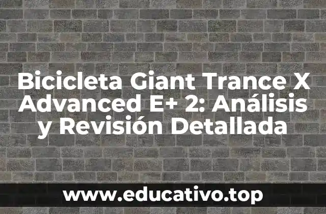 Bicicleta Giant Trance X Advanced E+ 2: Análisis y Revisión Detallada