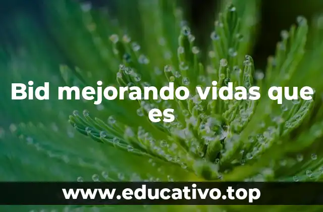 Bid mejorando vidas que es