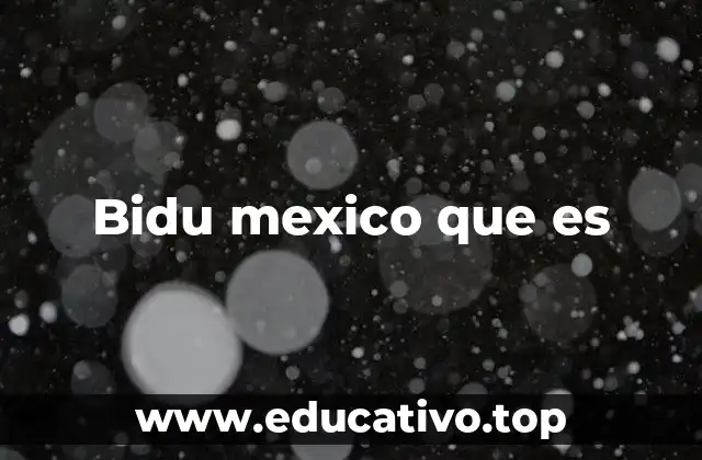 Bidu mexico que es