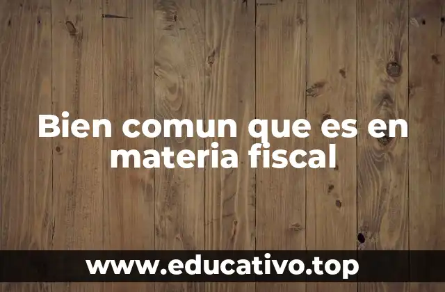 Bien comun que es en materia fiscal