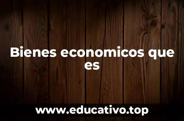 Bienes economicos que es
