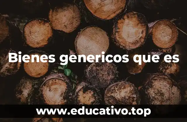 Bienes genericos que es