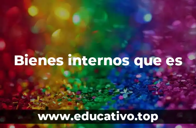 Bienes internos que es