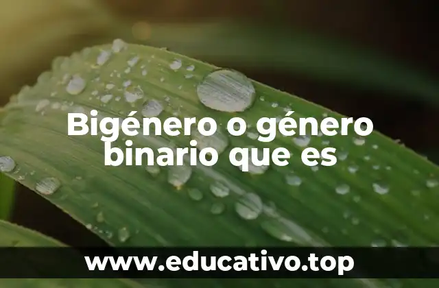 La relación entre identidad de género y expresión de género en el contexto binario