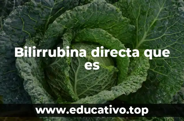 Bilirrubina directa que es