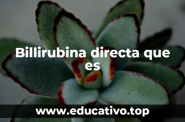 Billirubina directa que es