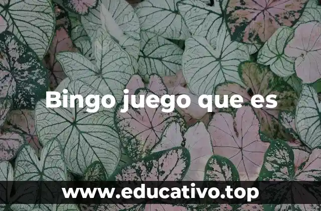 Bingo juego que es