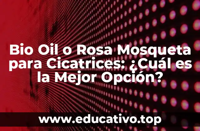 ¿Qué son las Cicatrices y Cómo se Forman?