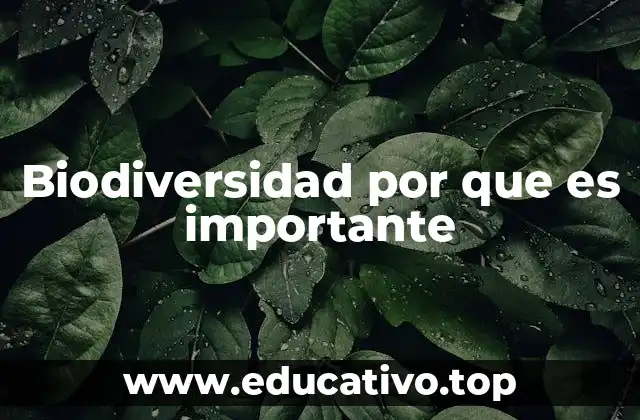 Biodiversidad por que es importante