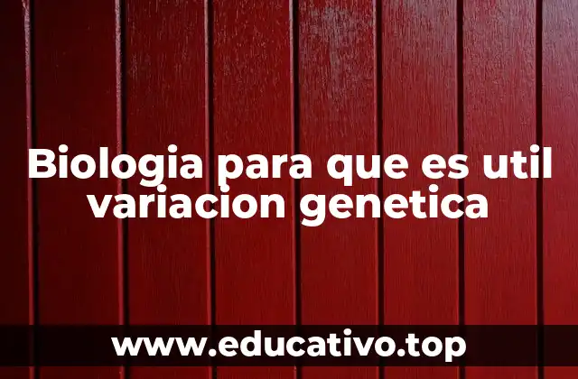 Biologia para que es util variacion genetica