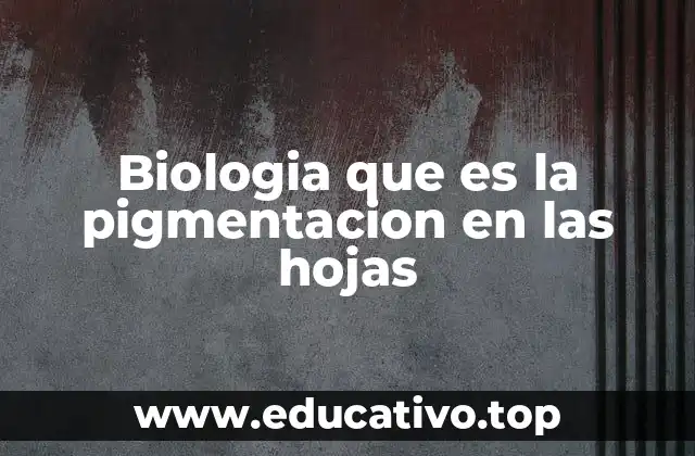 Biologia que es la pigmentacion en las hojas