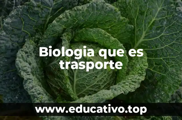 Biologia que es trasporte