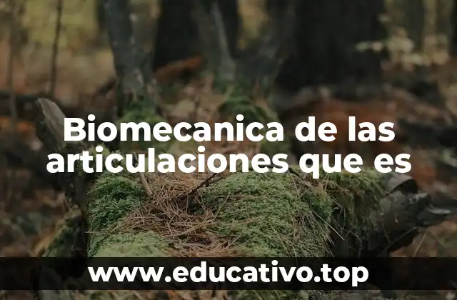 Biomecanica de las articulaciones que es