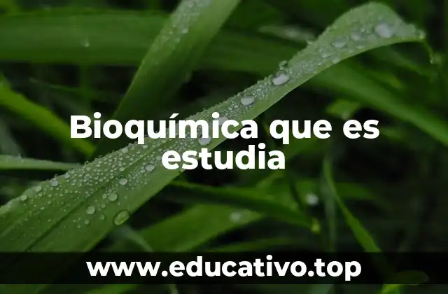 Bioquímica que es estudia