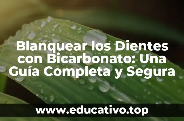 Blanquear los Dientes con Bicarbonato: Una Guía Completa y Segura