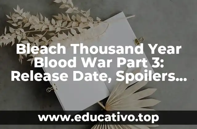 Bleach Thousand Year Blood War Part 3: Release Date, Spoilers, and More