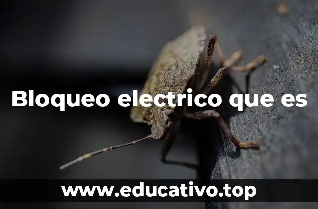 Bloqueo electrico que es