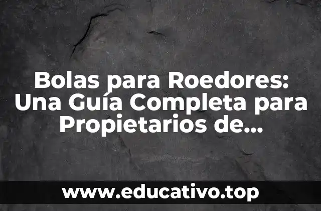 Bolas para Roedores: Una Guía Completa para Propietarios de Mascotas