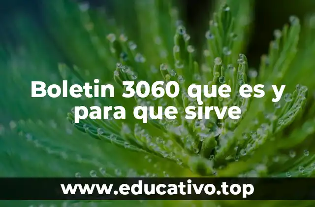 Boletin 3060 que es y para que sirve