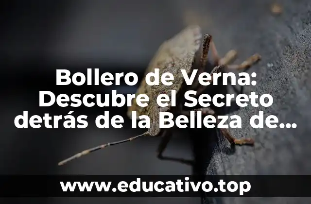 Bollero de Verna: Descubre el Secreto detrás de la Belleza de los Jardines Italianos