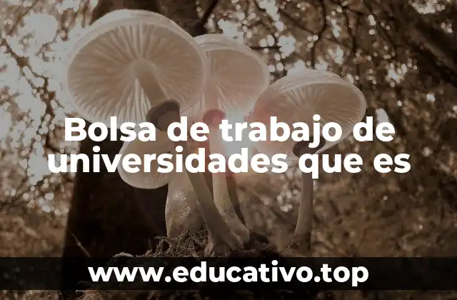 Bolsa de trabajo de universidades que es