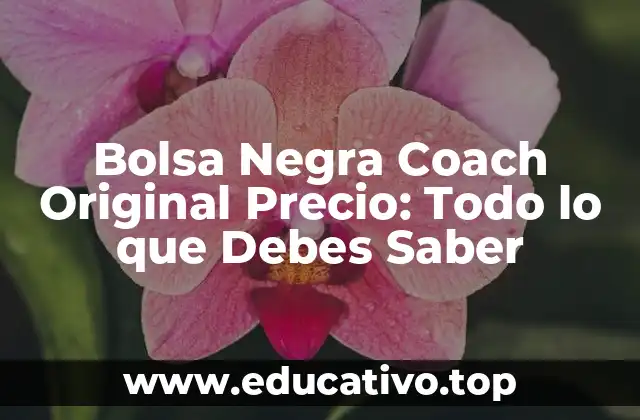 Bolsa Negra Coach Original Precio: Todo lo que Debes Saber