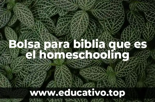 Bolsa para biblia que es el homeschooling