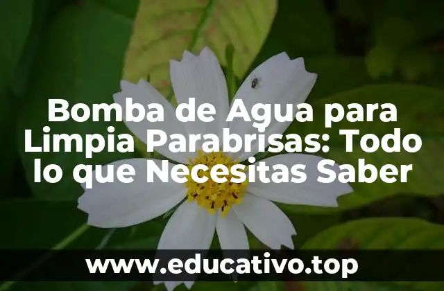 Bomba de Agua para Limpia Parabrisas: Todo lo que Necesitas Saber