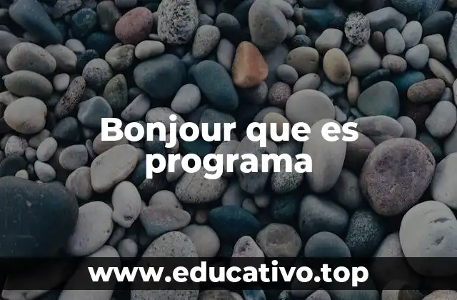 Bonjour que es programa