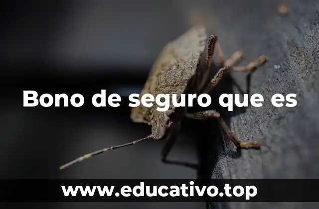 Bono de seguro que es