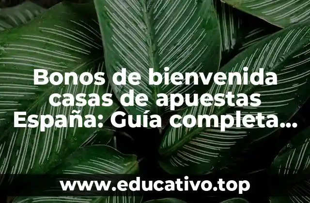 Bonos de bienvenida casas de apuestas España: Guía completa para nuevos apostantes