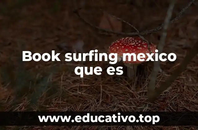 Book surfing mexico que es