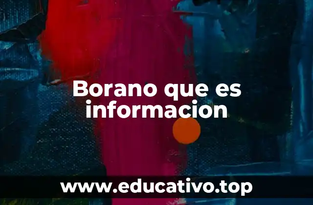 Borano que es informacion