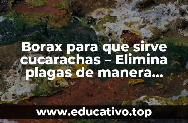 Borax para que sirve cucarachas – Elimina plagas de manera natural y segura
