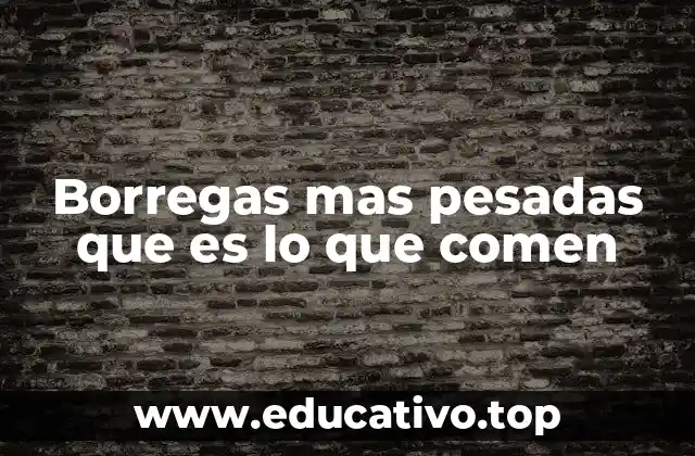 Borregas mas pesadas que es lo que comen