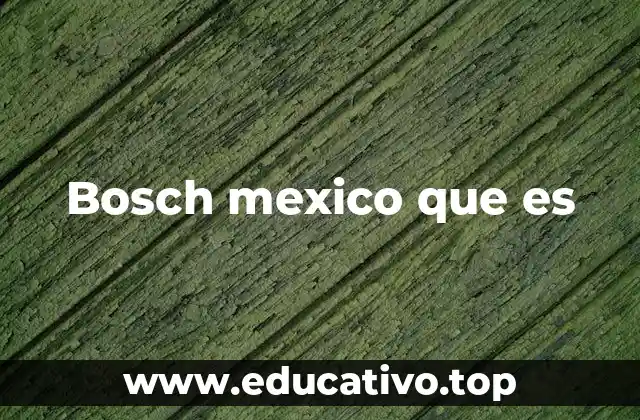 Bosch mexico que es