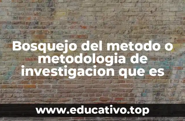 Bosquejo del metodo o metodologia de investigacion que es