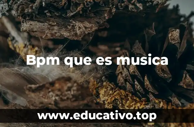 Bpm que es musica