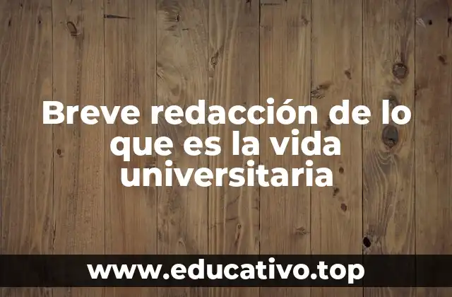 Breve redacción de lo que es la vida universitaria