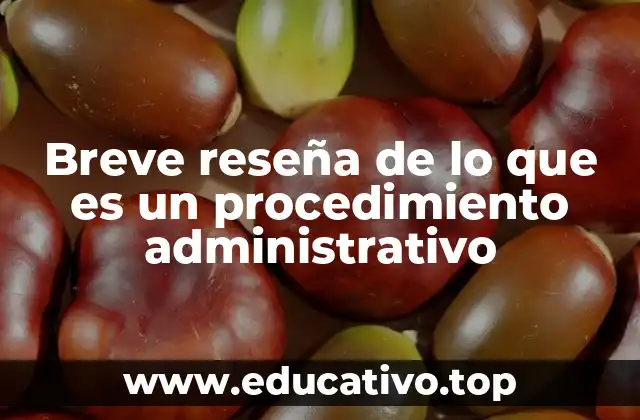 Breve reseña de lo que es un procedimiento administrativo