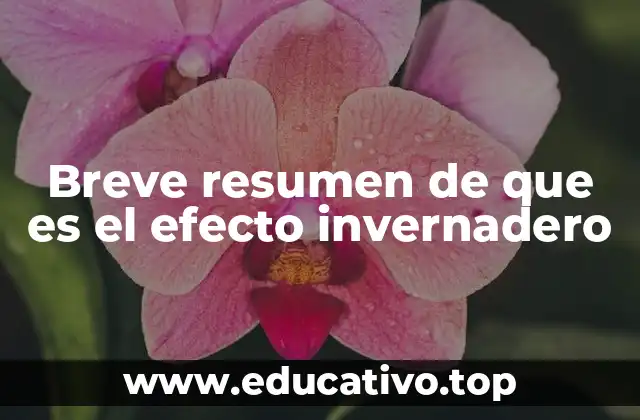 Breve resumen de que es el efecto invernadero