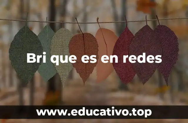 Bri que es en redes