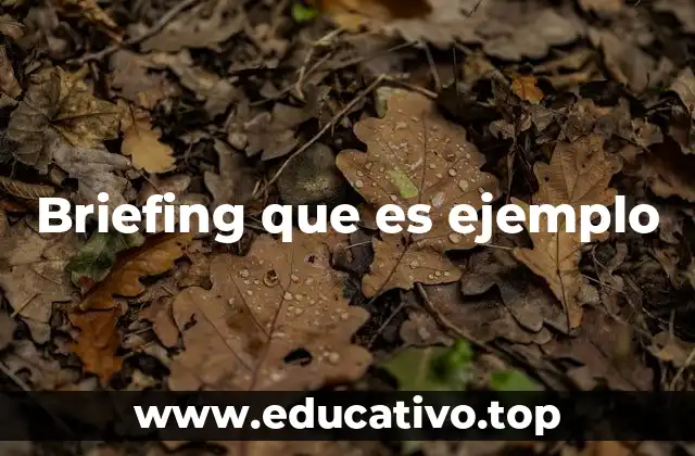 Briefing que es ejemplo