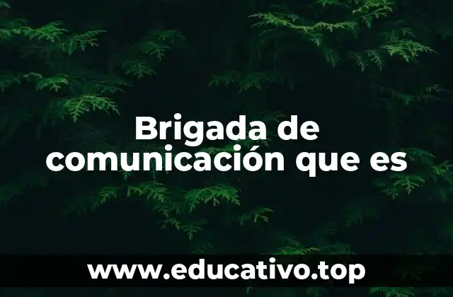 Brigada de comunicación que es