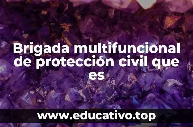 Brigada multifuncional de protección civil que es