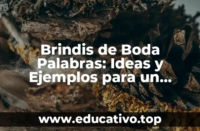 Brindis de Boda Palabras: Ideas y Ejemplos para un Discurso Inolvidable
