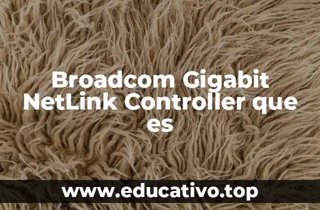 Broadcom Gigabit NetLink Controller que es