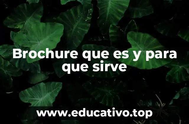 Brochure que es y para que sirve