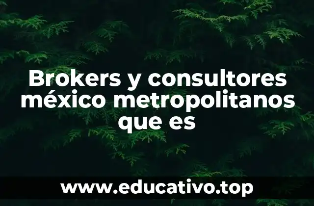 Brokers y consultores méxico metropolitanos que es